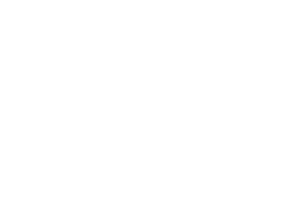 FA Insurance - Logo 800 White